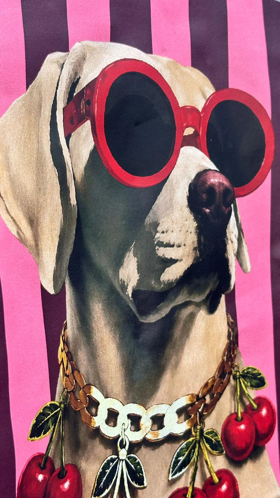 CAMISETA PERRITO CHUCHI